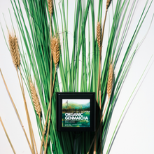Load image into Gallery viewer, Organic Japanese Genmaicha - More Tea Hong Kong