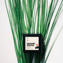 Load image into Gallery viewer, Japanese Sencha (JAS Organic) - More Tea Hong Kong