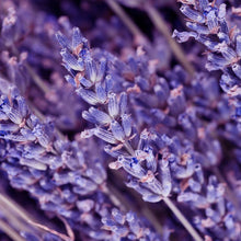 Load image into Gallery viewer, Lavender Earl Grey Tea (15 cotton tea bags) More Tea Hong Kong