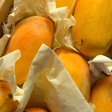 Load image into Gallery viewer, Mango Paradise More Tea Hong Kong