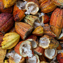 Load image into Gallery viewer, Cacao Tie Guan Yin - MoreTea Hong Kong