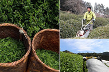 Load image into Gallery viewer, Organic Japanese Hōjicha - MoreTea Hong Kong