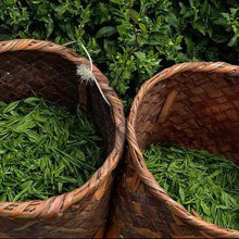 Load image into Gallery viewer, Organic Japanese Genmaicha - MoreTea Hong Kong