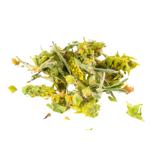 Greek Mountain Tea 希臘有機高山茶 (Sideritis Scardica) - MoreTea Hong Kong