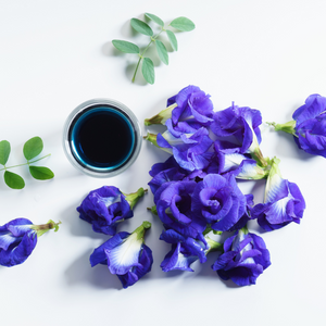 Purple Butterfly Pea Tea 蝶豆花茶 - MoreTea Hong Kong