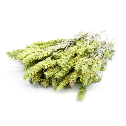 Greek Mountain Tea 希臘有機高山茶 (Sideritis Perfoliata) - MoreTea Hong Kong